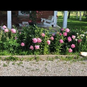 Meet your Posher, Robin